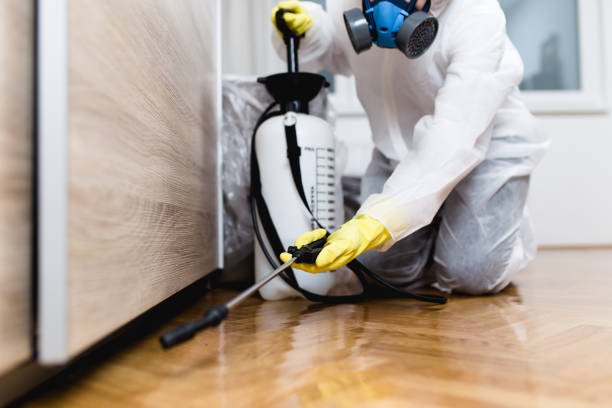 Best Local Pest Control Services  in Garrett, TX