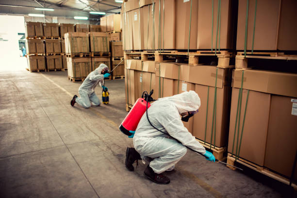 Best Mosquito Control Services  in Garrett, TX