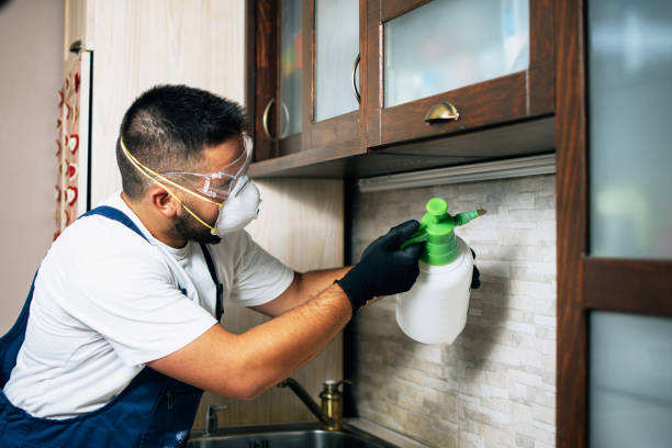 Best Bed Bug Extermination  in Garrett, TX
