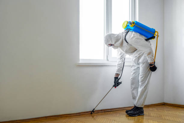 Trusted Garrett, TX Pest Control Experts