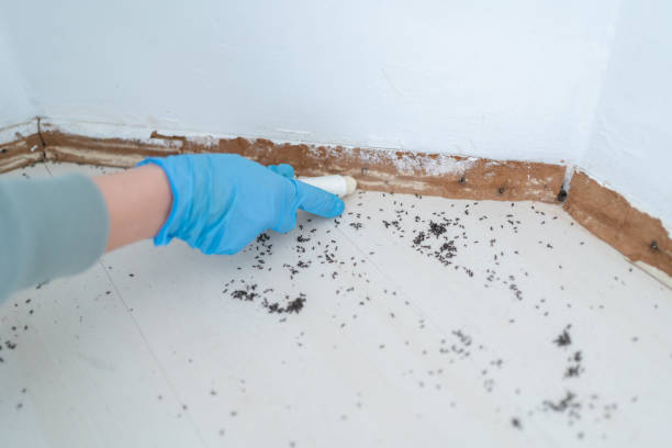 Best Wildlife Control Services  in Garrett, TX