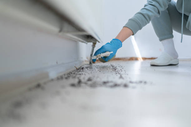 Best Flea Control Services  in Garrett, TX