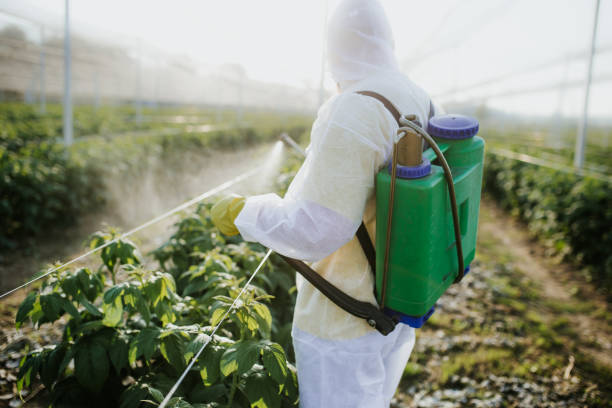 Best Pest Removal Services  in Garrett, TX